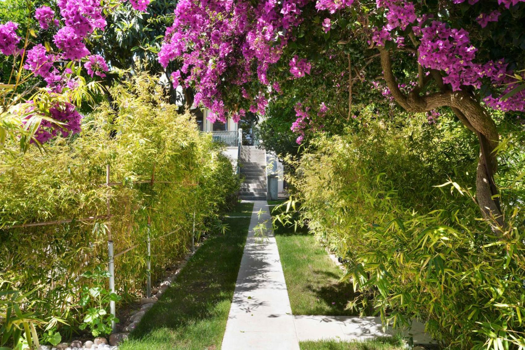 阿尔科谢蒂Jardim De Copas公寓 外观 照片